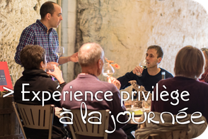 VinoLoire - Vincent Delaby - Excursions privilégiées dans les domaines vignobles du Val de Loire - Expérience privilège à la journée