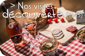 VinoLoire - Vincent Delaby - Excursions privilégiées dans les domaines vignobles du Val de Loire - Visites découverte - 1h45