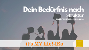 IKo individuelle Kompetenzorientierung Struktur Birgit Krüger IMPULSkoffer