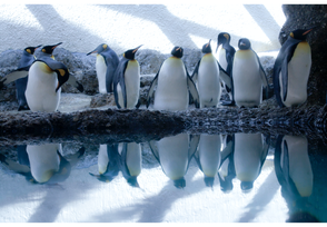 Birgit Krüger NRW Sozialkompetenz Soziale Kompetenz IMPULS CAMPUS