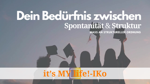 IKo individuelle Kompetenzorientierung Spontanität und Struktur Birgit Krüger IMPULSkoffer