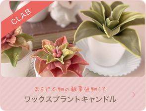 CLABワックスプラントキャンドルクラス - 関西【奈良・生駒】韓国