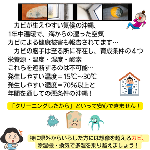 沖縄のカビ　湿度