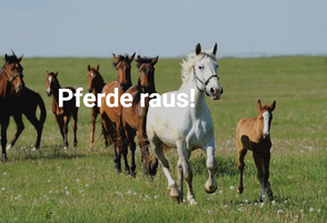 Wir sind Mitglied des Label "Pferde raus!" der Schweizerischen Tierschutzes.