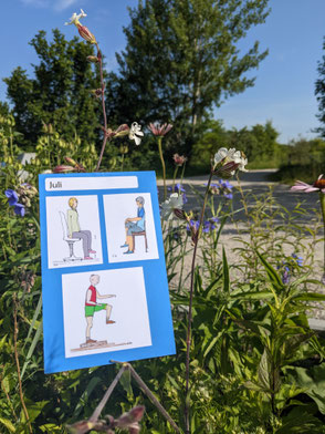 Das Kalenderblatt mit drei Zeichnungen liegt in einem grünen BlumenBusch mit Blick auf einen Radweg. Auf den Zeichnungen sitzen zwei Frauen, die das Bein gebeugt anheben, eine drückt die Hände auf das Bein. um dritten Bild steht ein Mann auf einer Stufe 
