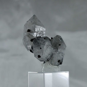 Quartz with Boulangerite Herja Romania