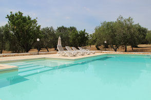 Ferienhaus Rustico Boschetto della Pace neben Trulli bei Ostuni in Apulien Italien mit Pool Vermietung von privat.