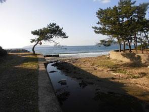 サーフに有る流れ込み