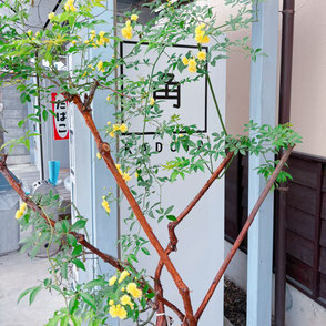 酒自販機