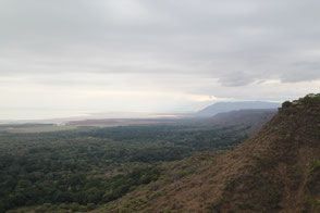 Cast and crew of "Hatari!" stayed at the Lake Manyara Hotel when they shot John Wayne's scenes of catching zebras.