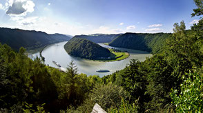 Ausblick auf das Naturwunder Donauschlinge