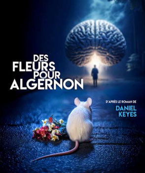 DES FLEURS POUR ALGERNON