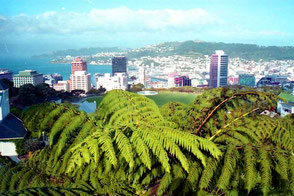 Blick vom Mt. Victoria-Hill hinunter auf Wellington