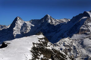 Jungfraujoch Rundflug mit Gletscherlandung 