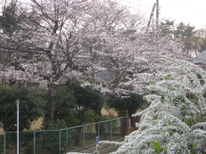 自宅ベランダからの風景
