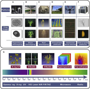 Overview on Plant Shoot Phenotyping Platforms across Different Scales