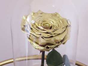 Foto van Long Life Rose: Unico Rosa