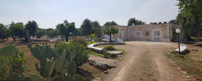 Ferienhaus Rustico Boschetto della Pace neben Trulli bei Ostuni in Apulien Italien mit Pool von privat.