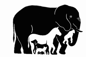 ¿cuantos animales observas?