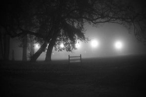 jerome devismes. une vue d'une pancarte la nuit dans un parc