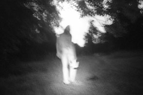 jeromedevismes. promenade nocturne dans le parc de Grignon dans les Yvelines durant l'été