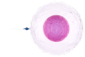 Fruchtbarkeit Kinderwunschbehandlung Erlangen Bayreuth Fertilität Unfruchtbarkeit Frauenarzt