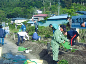 令和７年　100mの巨大花壇の水やりの写真