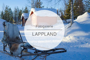 Fotogalerie Lappland, Hundeschlitten, Nordlichter, Schneemobil, Die Traumreiser
