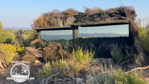 Hide para águila Imperial
