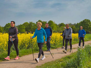 Nordic Walking als Präventionskurs in der Gruppe