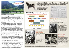 日本犬百科　新装版　渡辺肇 日本犬百科 新装版 渡辺肇 日本犬百科 新装版 渡辺肇 書籍・文献調査