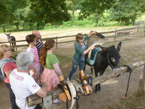 hike on the path of St-Jacques with a donkey