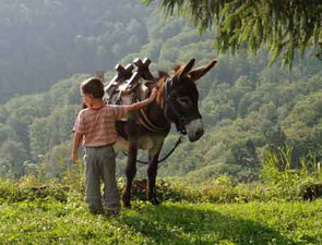 donkey hike Massif Central