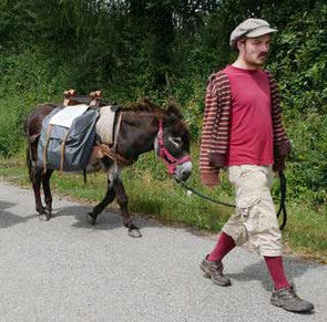 donkey-trekking france