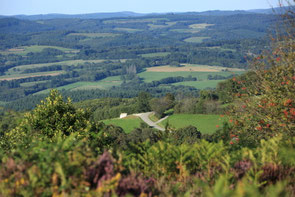 randonnée âne Massif Central