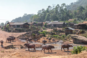 Bergdorf in Laos