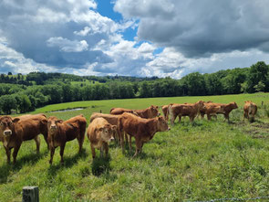 im Limousin wandern