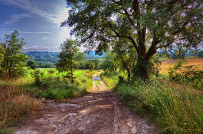 Landschafft im Limousin