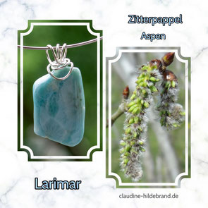 Stein_Blüte Larimar und Zitterpappel