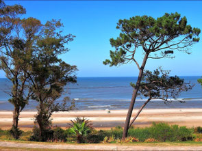 View from bedroom 2