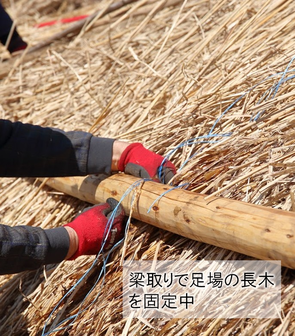 茅葺屋根の葺き替え　差し茅作業　長木の足場づくり