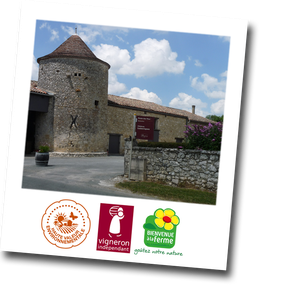Château Ladesvignes - Vignoble de Bergerac en Dordogne - Périgord