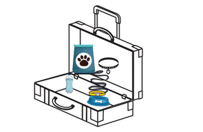 Maleta para viajar con mascotas