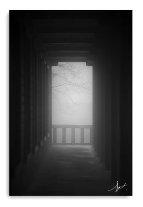 「時の社」(ときのやしろ)モノクロ習作