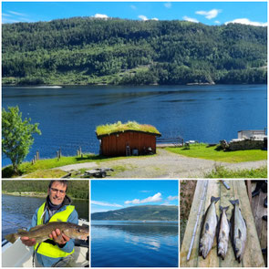 Fischend in Fjordnorwegen.