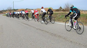 Un peloton consistant peu avant Pont-St-Esprit