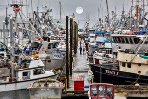 Ketchikan Hafen