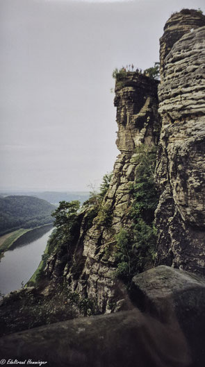 aus meinem Fotoalbum (2011)