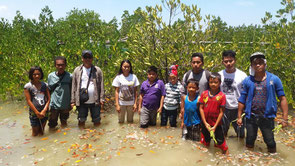 Tackling mangrove planting in cooperation with local residents in Abra Province, Northern Luzon Island