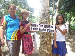 Put a sign board with the name of tree on the tree grown at school campus
